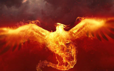THE PHOENIX: learning to trust life