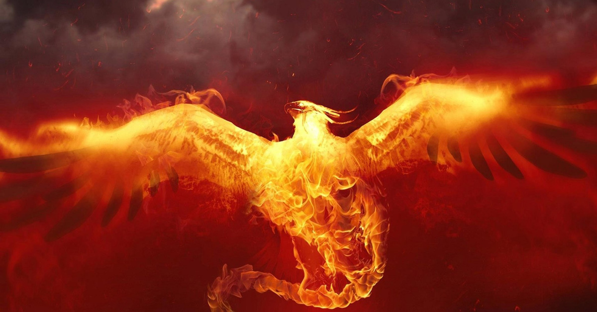 THE PHOENIX: learning to trust life