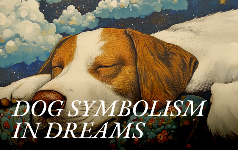 DOG SYMBOLISM IN DREAMS: Companions, Protectors and Guides of Souls